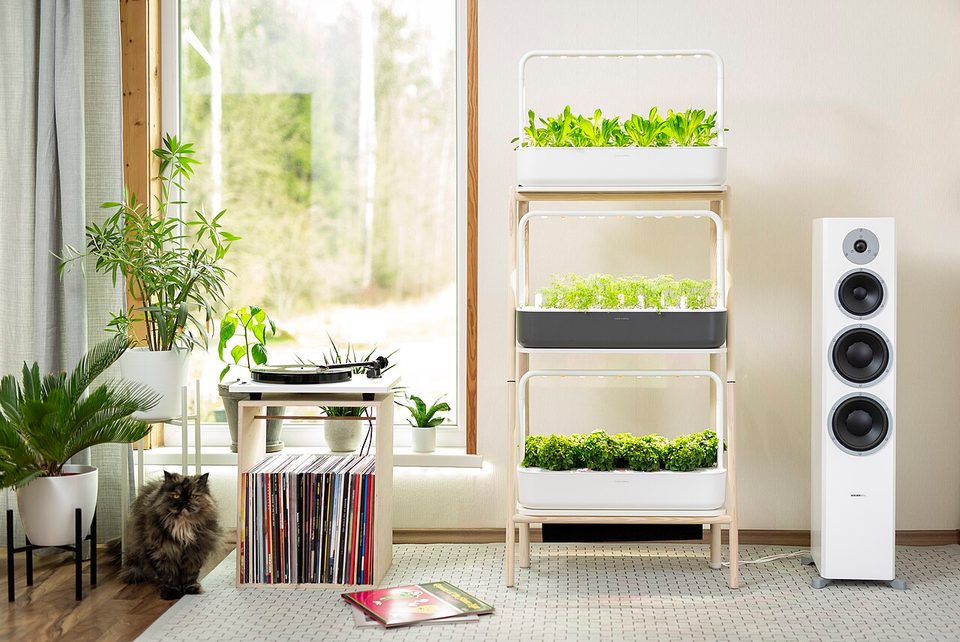 Three Click & Grow Smart Garden 9 units in a rack, each growing basil and other herbs under LED grow lights in a bright room. Mine is a single beige unit, not the three-unit rack shown here.