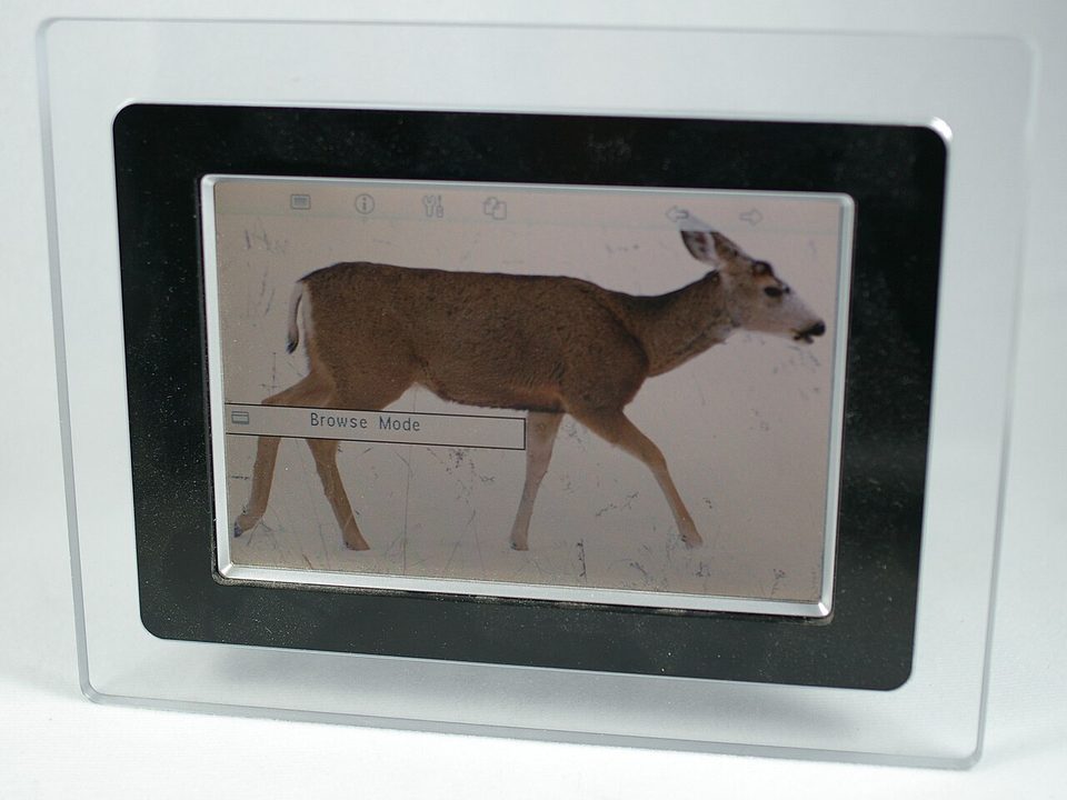 a digital photo frame showing a photo of a deer