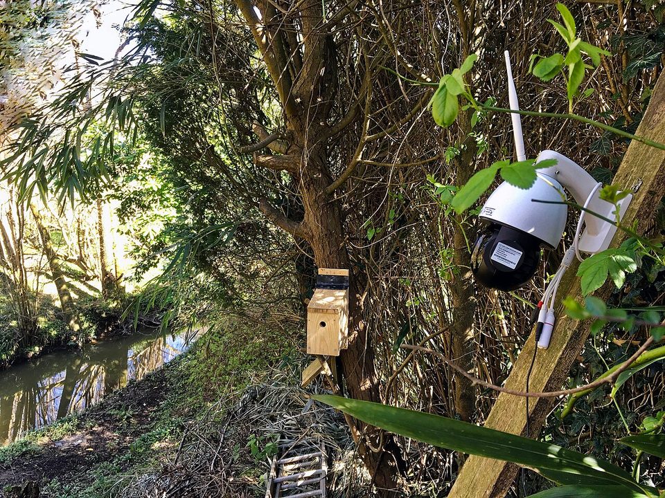 An outdoor wireless security camera mounted on a wall, the same form factor as the eufy S330