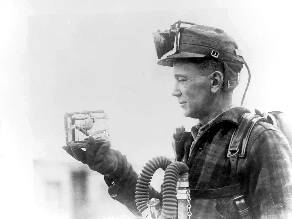A mining foreman holding a canary cage at a coal mine, 1928, U.S. Bureau of Mines photograph, the origin of the canary idea