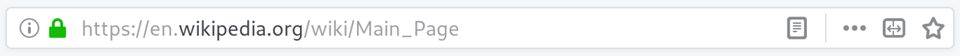 A browser address bar with a web address typed in
